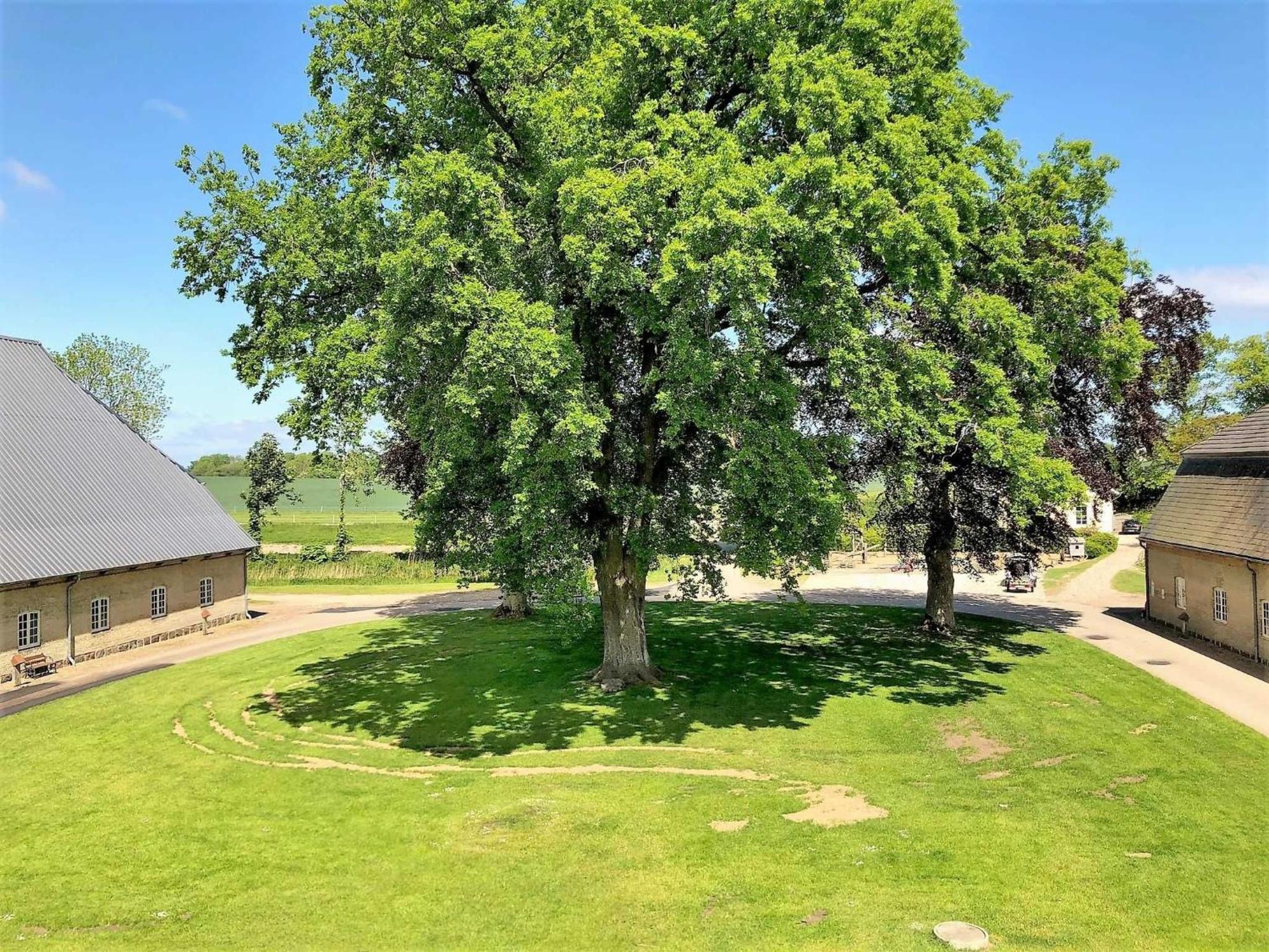 Ferienwohnungen Herrenhaus Gut Oestergaard Steinberg  エクステリア 写真